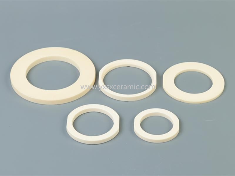 Высокоточный коррозионно-стойкий клапанный насос Shenxing с керамическим уплотнительным кольцом из 99% оксида алюминия – Yixing Shenxing